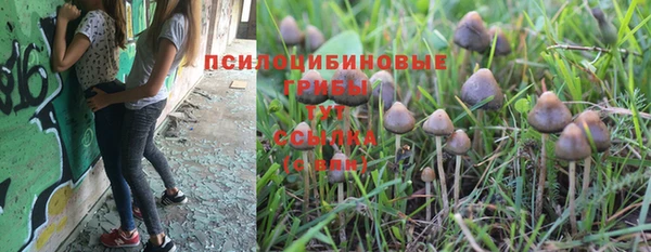 MESCALINE Бугульма