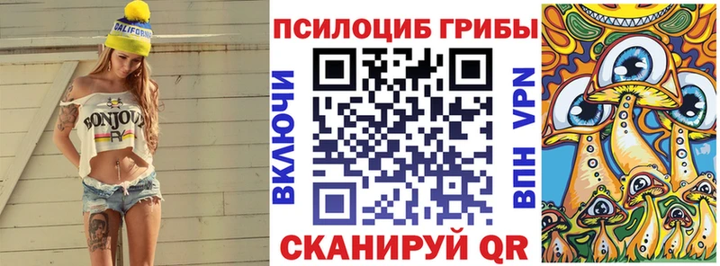 наркошоп Курск Псилоцибиновые грибы GOLDEN TEACHER
